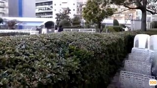 揭秘91大神康先生被抓,高学历却不守法律,违法必然被抓!|开房|陈思雨🐓